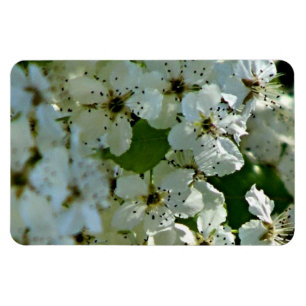 Blommar i blocket magnet