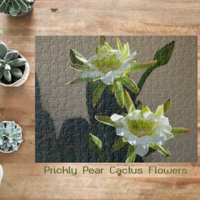 Blommar i Cactus Flowers Prickly Pear Fotographic Pussel (Skapare uppladdad)