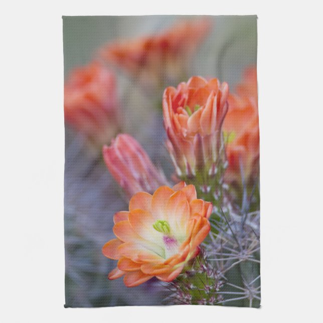 Blommar i orange kökshandduk (Vertikal)