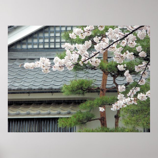 Blommar i regnet poster (Framsidan)