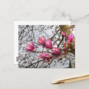 Blommar i Tulip Träd Vykort