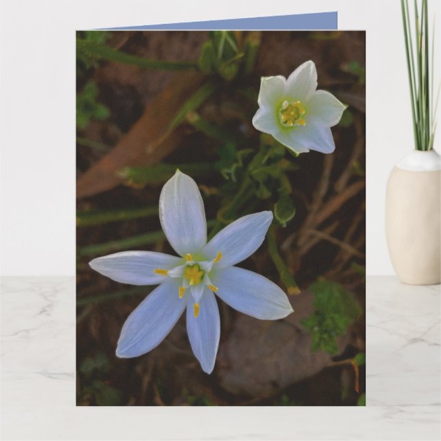 blommar i vitt  kort (Framsida)