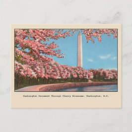 Blommar i Washington DC Monument Cherry Vykort
