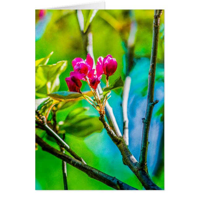 Blommar inuti hälsningskort (Framsidan)