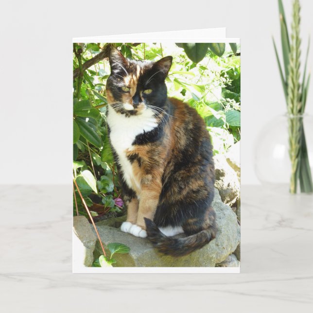 Blommar Kort (Framsida)