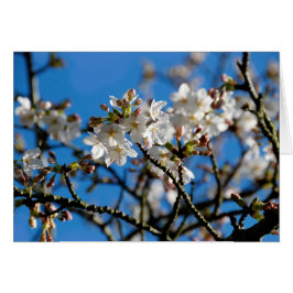 Blommar-kort för Träd Hälsningskort