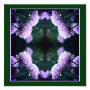 Blommar Lila Scallion Onion Abstrakt 8x8 Fototryck