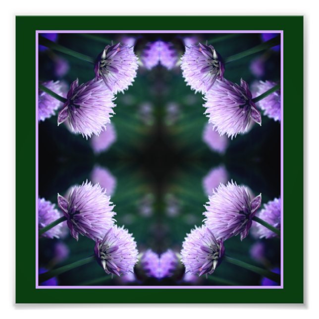 Blommar Lila Scallion Onion Abstrakt 8x8 Fototryck (Framsidan)