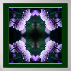 Blommar Lila Scallion Onion Close Abstrakt Poster