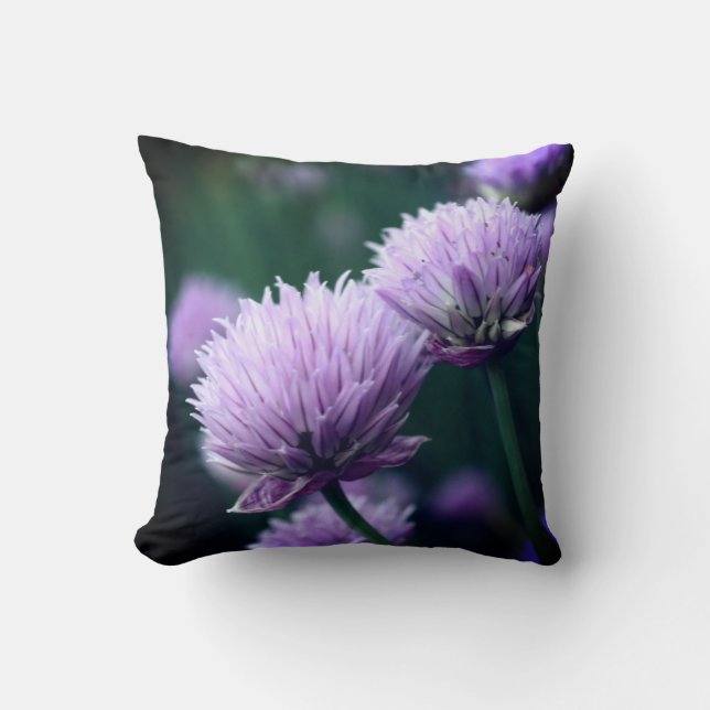 Blommar Lila Scallion Onion Close up Kudde (Framsida)