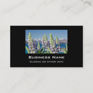 Blommar Lupine New Zealand Ligcape Visitkort