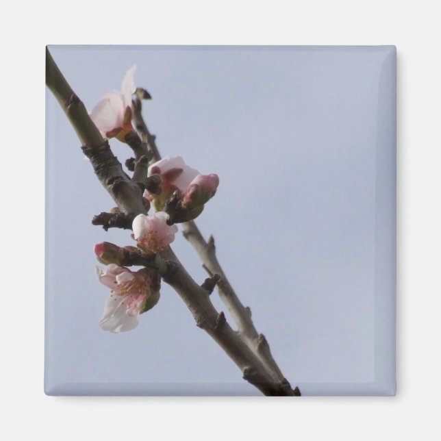 Blommar Magnet (Framsidan)