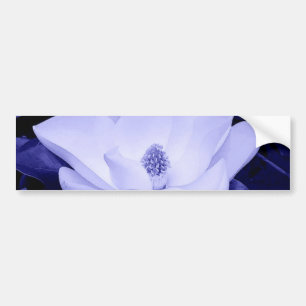 Blommar Magnolia Flower Bildekal