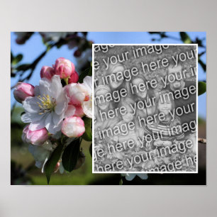 Blommar med billig Vår-blomma Lägg till ditt foto Poster