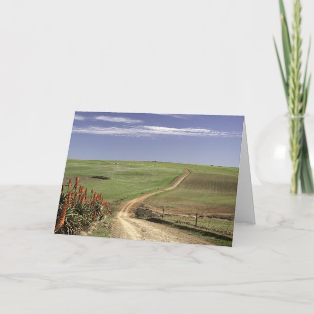 Blommar nära Caledon, Westerna Kap Kort (Framsida)