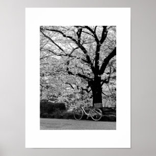 Blommar och cykel: Japan Poster