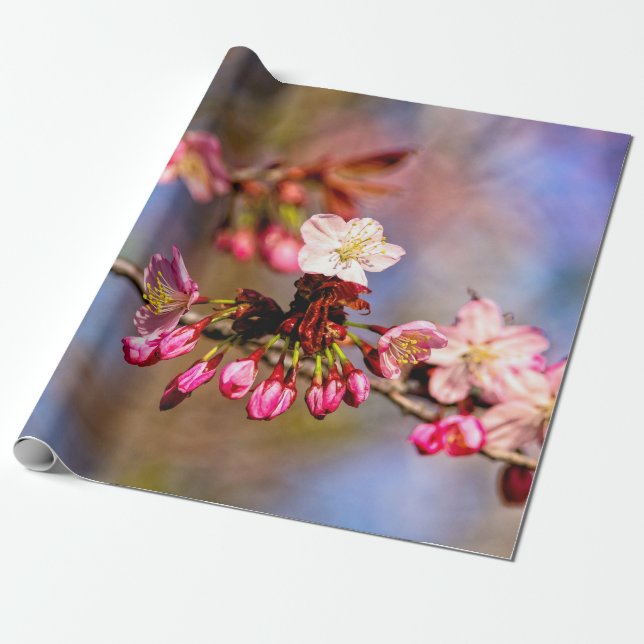 Blommar- och Lila-dammar på en solnydag Presentpapper (Utrullad)