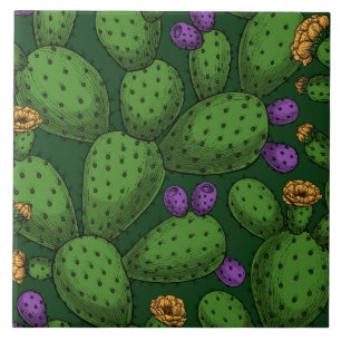 Blommar opuntia på mörk grönt kakelplatta
