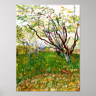 Blommar Orchard (1888) av Vincent Van Gogh Poster