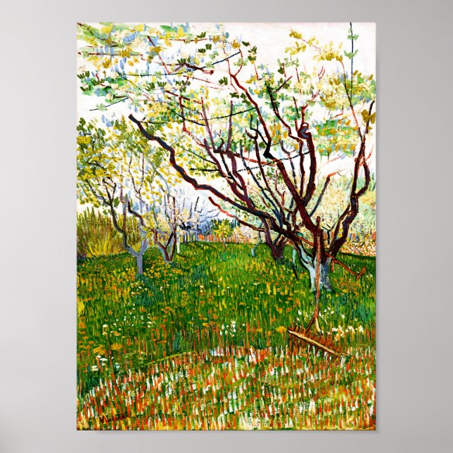Blommar Orchard (1888) av Vincent Van Gogh Poster (Framsidan)