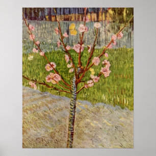 Blommar Peach Träd av Vincent Willem van Gogh Poster