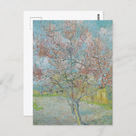 Blommar Peach Träd Vykort