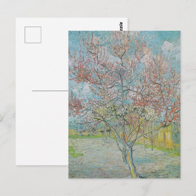 Blommar Peach Träd Vykort (Fram/baksida)