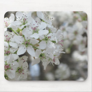 Blommar Pear Träd Bloom Musmatta