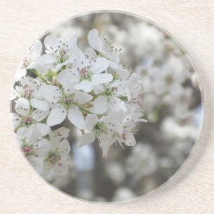 Blommar Pear Träd Bloom Underlägg