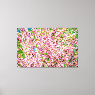 Blommar Plum Canvastryck