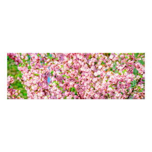 Blommar Plum Fototryck