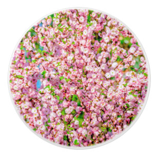 Blommar Plum Knopp