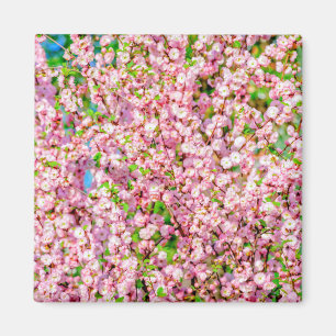 Blommar Plum Magnet