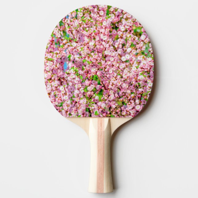 Blommar Plum Pingisracket (Baksidan)