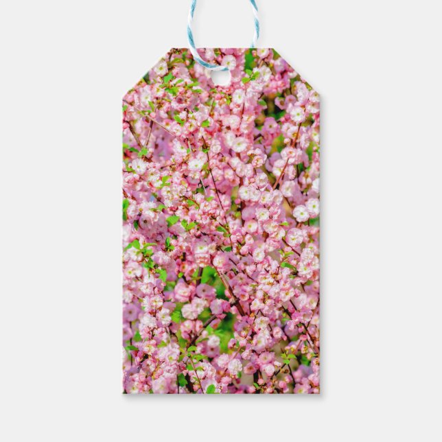 Blommar Plum Presentetikett (Framsidan)