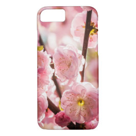 Blommar Plum - Rosa Paradize