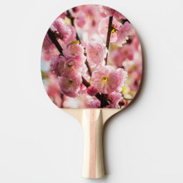 Blommar Plum - Rosa Paradize Pingisracket