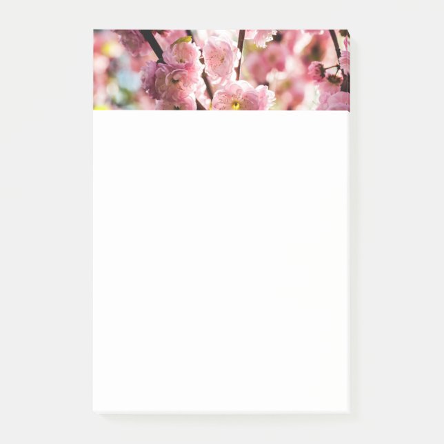 Blommar Plum - Rosa Paradize Post-it Block (Framsida)