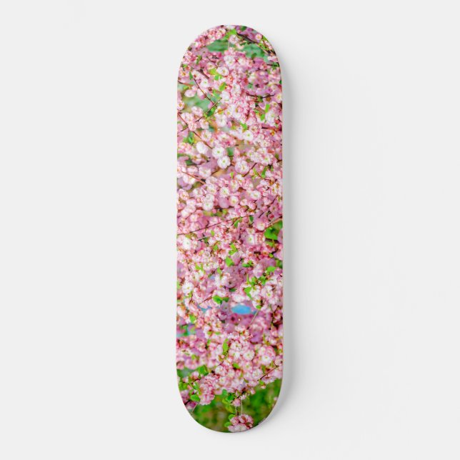Blommar Plum Skateboard Bräda 21,5 Cm (Framsida)