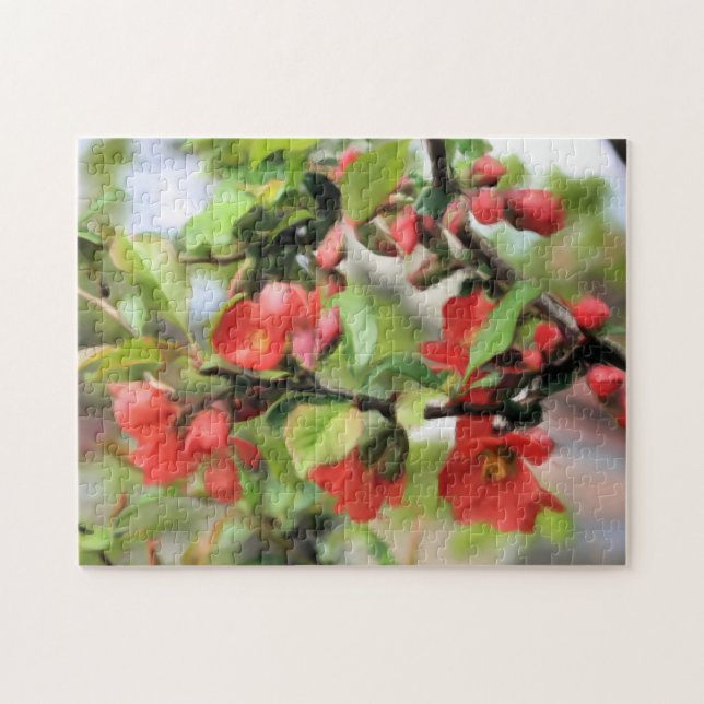 Blommar Quince Red-Blommar Pussel (Horisontell)