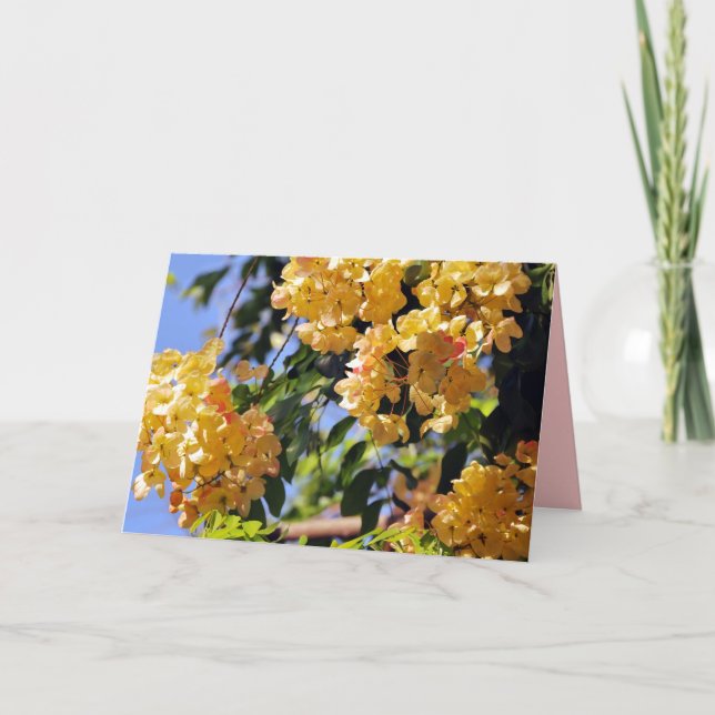 Blommar Rainbow Shower Träd Card Tack Kort (Framsida)