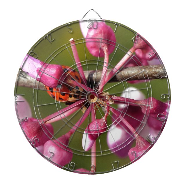 Blommar Redbud med Ladybug Darttavla (Framsidan)
