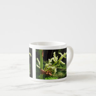 Blommar Rhubarb Stalks Nature Photo Espressomugg