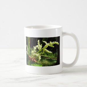 Blommar Rhubarb Stalks Nature Photo Kaffemugg