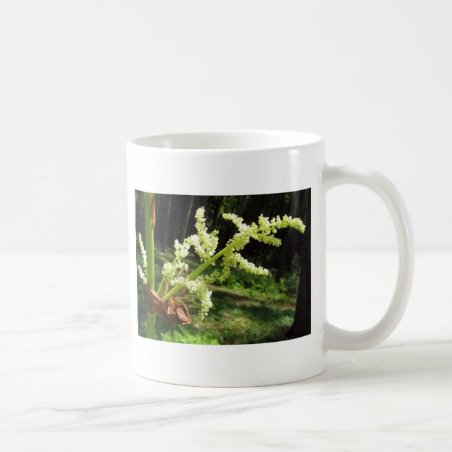Blommar Rhubarb Stalks Nature Photo Kaffemugg (Höger)