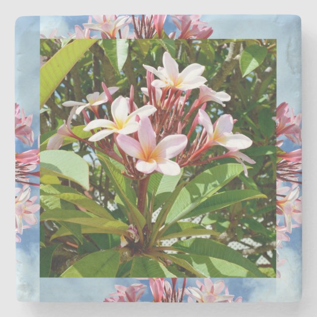 Blommar Rosa Frangipani Träd Stenunderlägg (Framsidan)