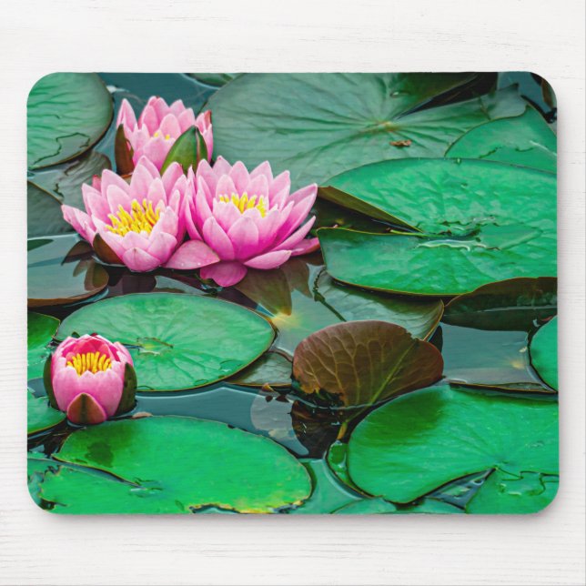 Blommar rosa lotus på sjö Mousepad Musmatta (Framsidan)