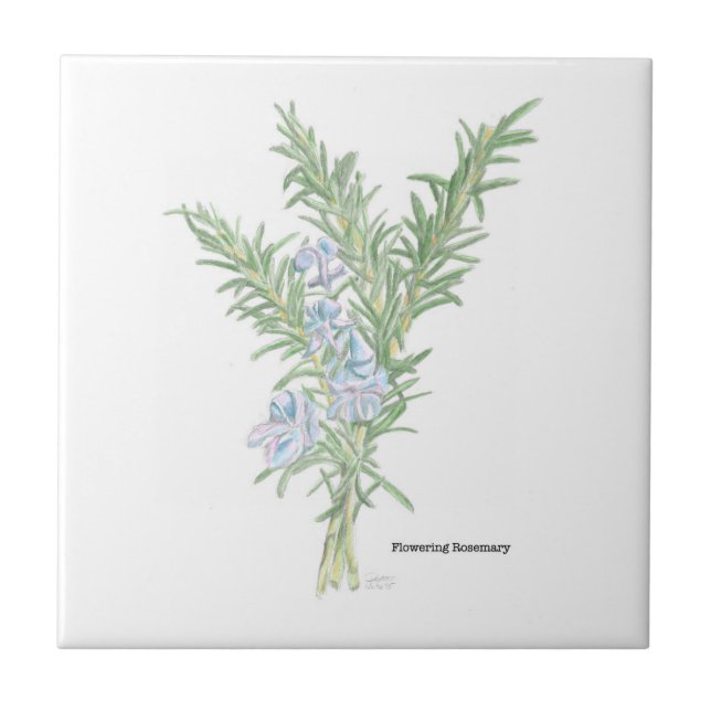 Blommar Rosemary Kakelplatta (Framsidan)