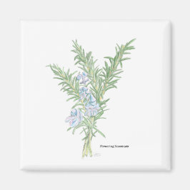 Blommar Rosemary Magnet