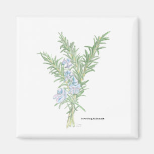 Blommar Rosemary Magnet